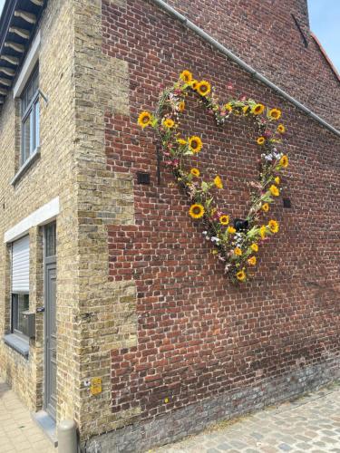serce zrobione ze słoneczników na ceglanym budynku w obiekcie Sulfer7 w mieście Heuvelland
