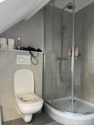een badkamer met een toilet en een glazen douche bij Au Marolles chambre Atomium in Brussel