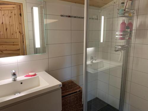 a bathroom with a shower and a sink and a mirror at Rondablikk in Folldal