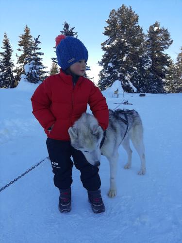 a young boy with a dog in the snow at Canalhof in Antermoia