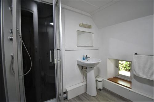 a white bathroom with a sink and a shower at Place de la Fontaine in Chéniers