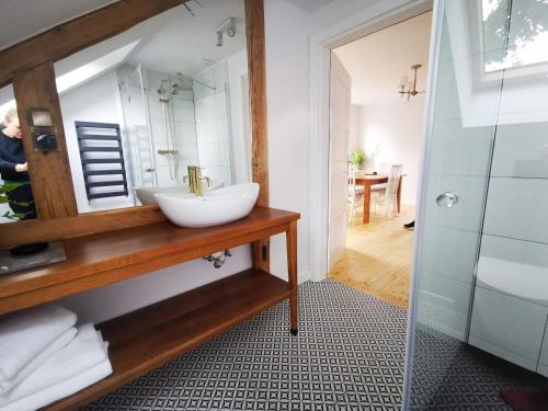 a bathroom with a sink and a shower at Leśniczówka in Lądek-Zdrój
