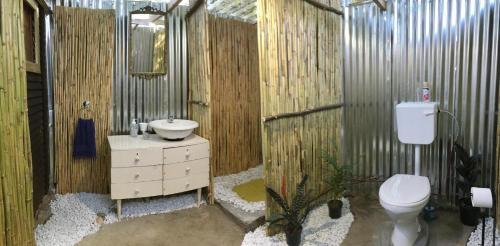 ein Badezimmer mit einem WC, einem Waschbecken und einem Spiegel in der Unterkunft The shack life in Rensburgdorp