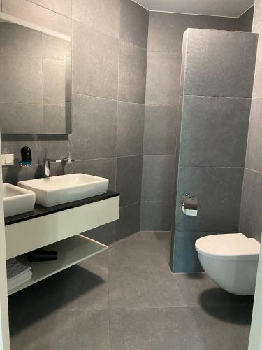 a bathroom with a sink and a toilet at Mezger Lodges in Domburg