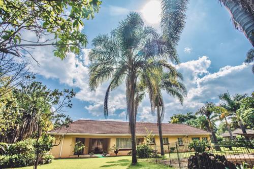 a palm tree in front of a house at Palm villa in Harare