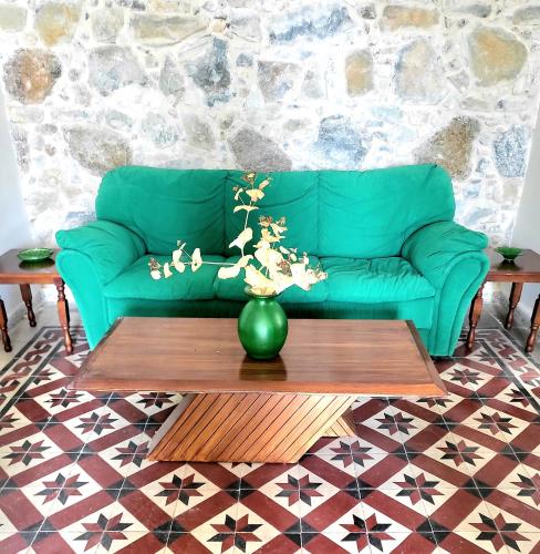 a green couch in a living room with a coffee table at ThePlatres.Nest in Platres