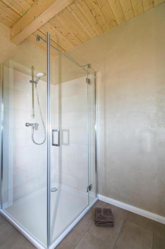 a shower with a glass door in a bathroom at Ferienhof-Eiderdeich Wohnung Hertha in Delve