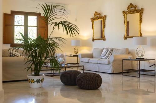 a living room with a couch and a plant at Il Giardino di Venere in Mondello