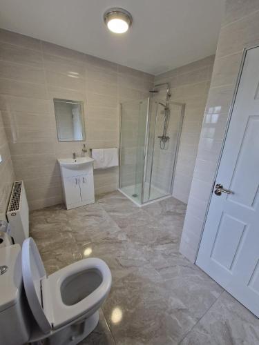 a bathroom with a toilet and a shower at Mountmahon House in Abbeyfeale