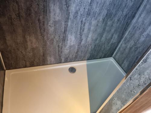 um chuveiro numa casa de banho com tecto em betão em Stunning 1 Bedroom Lodge em Welshpool