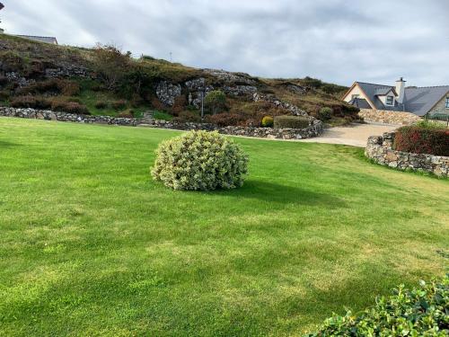 a green lawn with a bush in the middle at Blue Pearl Apartment in Downings