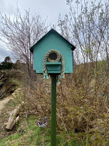 a blue bird house with a snake wrapped around it at Blue Pearl Apartment in Downings
