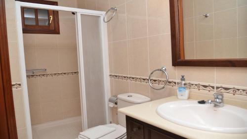 een badkamer met een wastafel, een toilet en een douche bij Apartamento Heliconia 3 in Valle Gran Rey