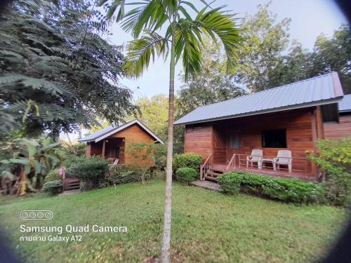 a cabin with a palm tree in front of it at Lanta Para hut in Ko Lanta