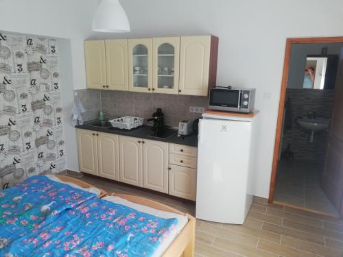 a kitchen with a refrigerator and a microwave at Total Relax Apartmanház in Bogács