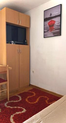 a living room with a television and a red carpet at Taras House in Zvezdara