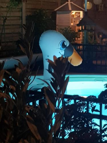 a penguin balloon in front of a pool at night at B&B Le Jardin in Pelt