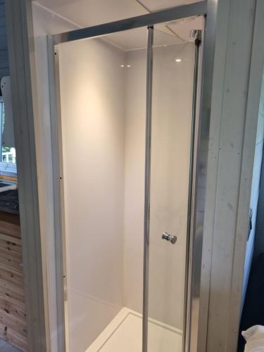 a shower with a glass door in a bathroom at Glamping Hut - Sleeps 2 hot tub & parking in Garthbeibio