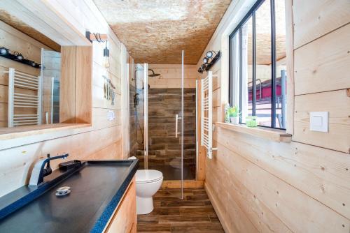 ein Bad mit einem Waschbecken und einem WC in der Unterkunft Villa de 2 chambres avec piscine privee jardin clos et wifi a Sapogne et Feucheres in Sapogne-et-Feuchères
