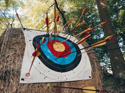 a painting of a target with arrows at Pałac Chichy in Małomice