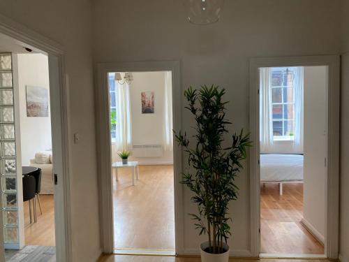a room with two doors and a potted plant at Lovely 1-Bed Apartment in Glasgow Merchant City in Glasgow