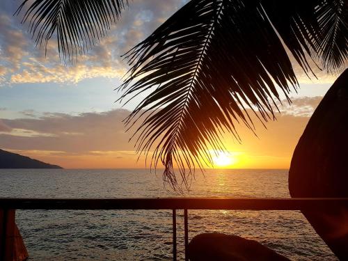 a sunset on the ocean with a palm tree at Marquise & Infinity villas in Glacis