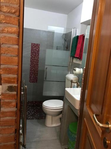 クルジュ・ナポカにあるBrutarilor Guest Houseの小さなバスルーム(トイレ、シンク付)
