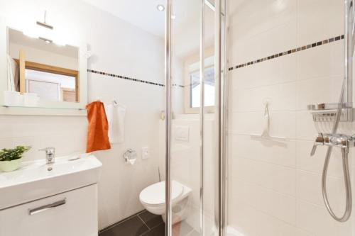 ein Bad mit einer Dusche, einem WC und einem Waschbecken in der Unterkunft Im Höfle Ferienwohnungen in Mittelberg