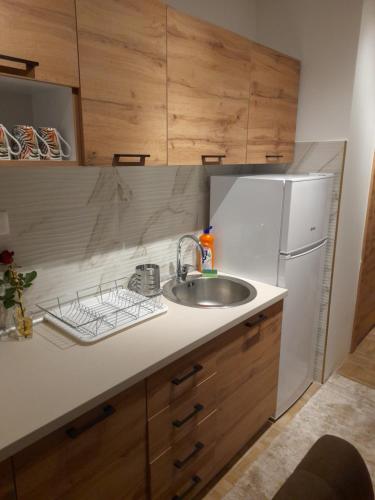 a kitchen with a sink and a white refrigerator at Holiday apartaments 2 in Niš
