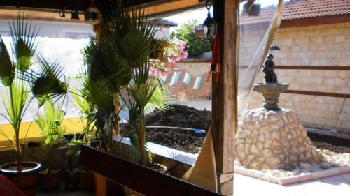 a group of potted plants in a garden at Albena Guest House in Shabla