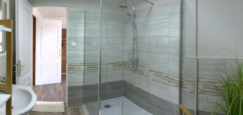 y baño con ducha de cristal y lavabo. en Margaréta Étterem és Vendéghàz Gasthaus, en Balatonberény