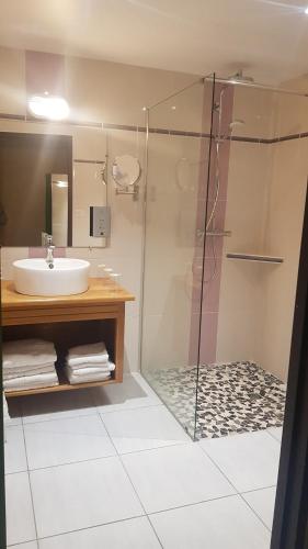 a bathroom with a sink and a glass shower at Le Bilboquet in Le Puy-en-Velay