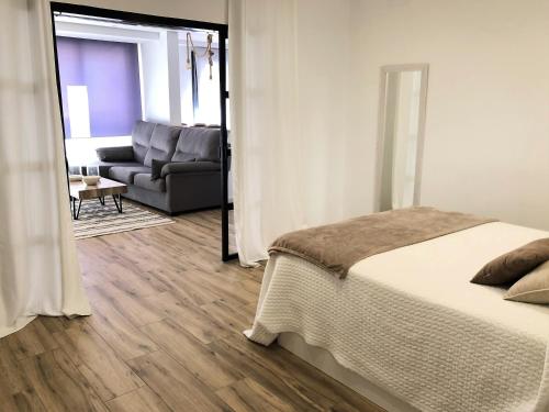 um quarto com uma cama e uma sala de estar com um sofá em Vivienda Turística Jaén Interior PARKING GRATUITO em Andújar