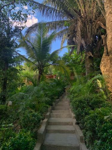 a stairway in a garden with a palm tree at Hotel La Casablanca Tayrona in Calabazo