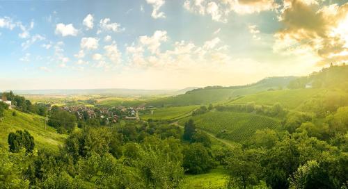 a view of a green valley with trees and houses at Landhaus Hohly in Löwenstein