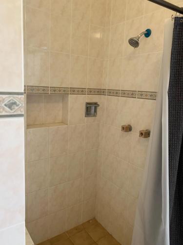 a shower with a glass door in a bathroom at Finca los Rosales in Parras de la Fuente