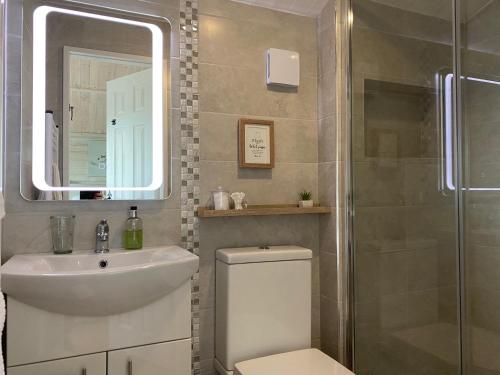 a bathroom with a toilet and a sink and a shower at Adorable Cabin in the Countryside in Portlaoise