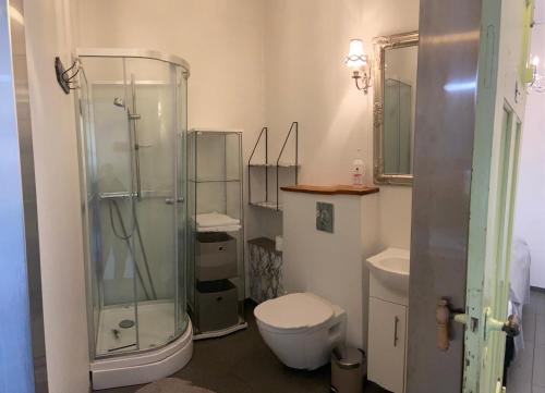 a bathroom with a glass shower and a toilet at Mörk Guesthouse in Hveragerði