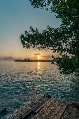 a sunset over a body of water with a wooden dock at Rosario EcoHotel in Isla Grande