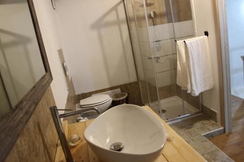 a bathroom with a toilet and a sink and a shower at GUEST HOUSE TZIA UDRONI in Ossi