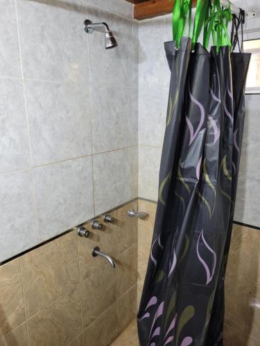 ducha con cortina negra y planta en EL RINCON DE ROSA 2 en 