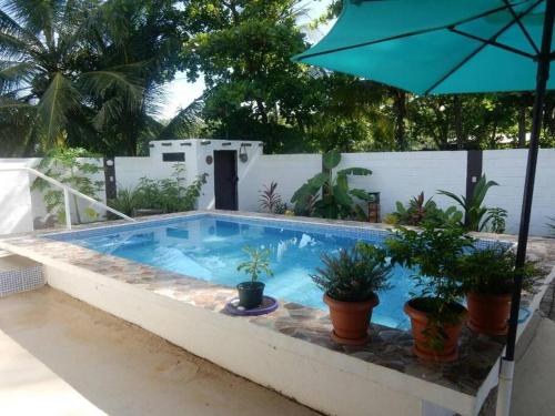 Πισίνα στο ή κοντά στο Beach House with a Pool-2mn walk to the beach