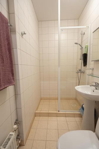 a bathroom with a shower and a toilet and a sink at Aiakeskuse hostel in Rakvere