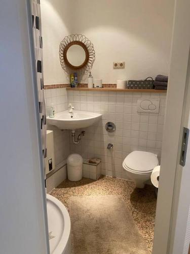 bagno con lavandino, servizi igienici e specchio di Schöne und Gemütliche Wohnung in Trier Zentrum a Treviri