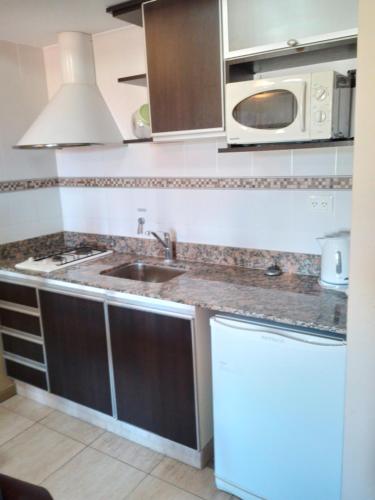 a kitchen with a sink and a microwave at ALBERTI APARTAMENTS in Campana