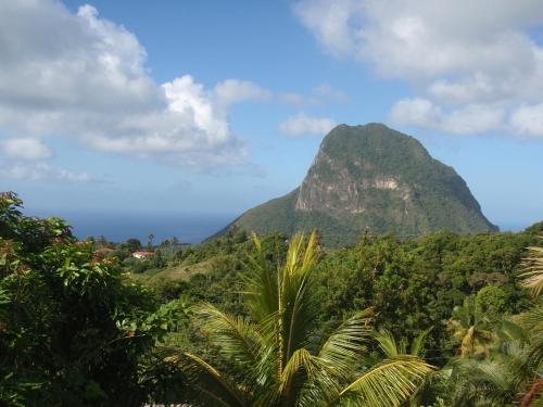 a mountain in the middle of a jungle with palm trees at Simon says Grand View Villa in Soufrière