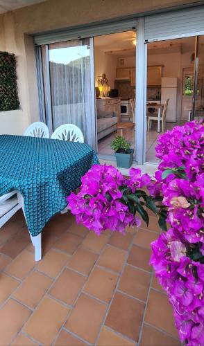 Le Tamaya plage Charmant T2 en rez de jardin A 2 pas d une belle plage de toutes commodités et centre ville port