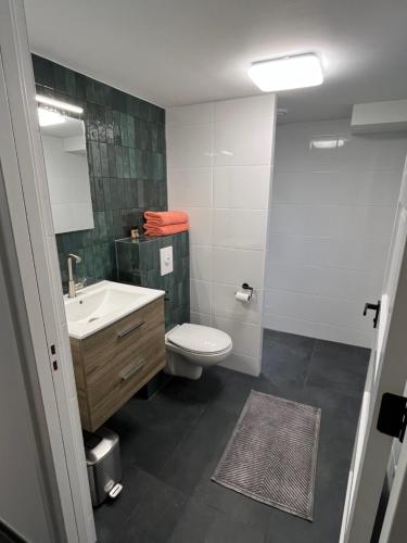 uma casa de banho com um WC branco e um lavatório. em Zwols Groen em Zwolle