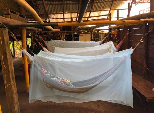 a group of hammocks hanging in a building at The Humpback Turtle in El Valle