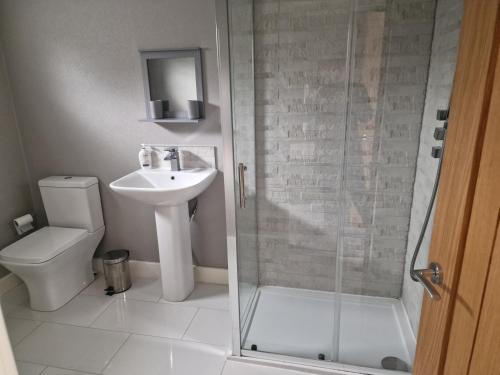 a bathroom with a shower and a sink and a toilet at Derwen 2 Bedroom Luxury Lodge in Welshpool